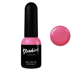 "Studios Didier" Gelinis Lakas, Bubblegum